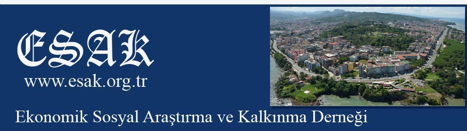 Yönetim Kurulu